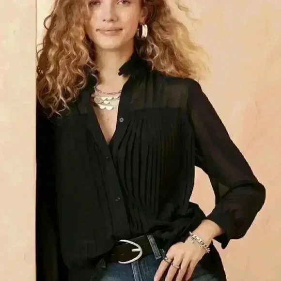 Banana Republic Chiffon Pleated Blouse - Picture 3 of 13